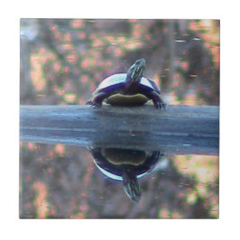 Schildpad reflecterend decoratief profiel tegeltje