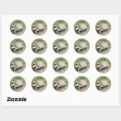 Schildpad Ronde Sticker (Vel)