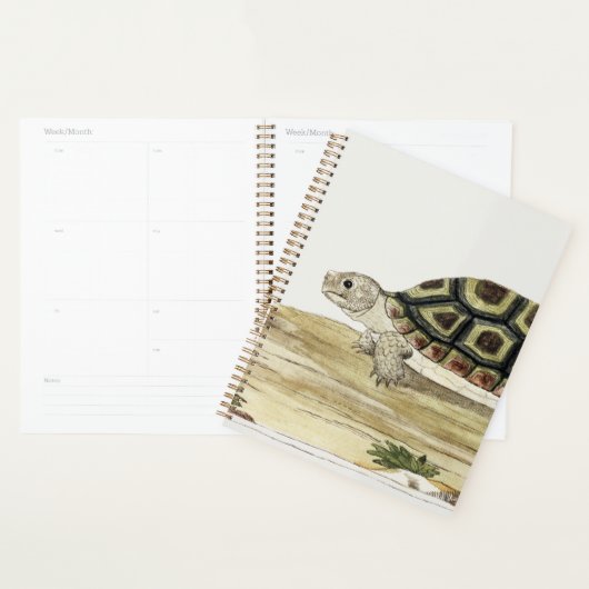 Schildpad & schildpad Harmonie: Post-it Notes Jigs Planner (Display)