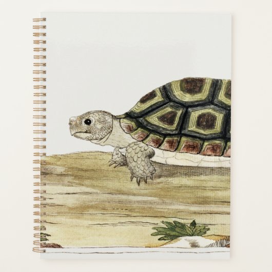 Schildpad & schildpad Harmonie: Post-it Notes Jigs Planner (Voorkant)