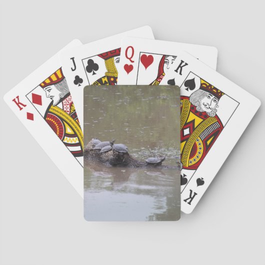 Schildpad Speelkaarten (Achterkant)