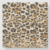 Schildpad Stenen Onderzetter (Voorkant)