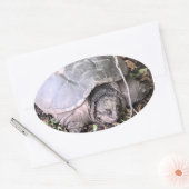 Schildpad Sticker (Envelop)