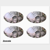 Schildpad Sticker (Vel)