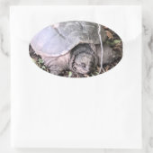 Schildpad Sticker (Tas)