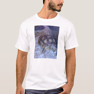 Schildpad T-shirt