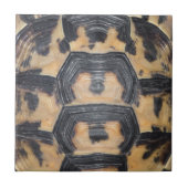 schildpad tegeltje (Voorkant)