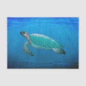 Schildpad Tissue Papier (Voorkant)