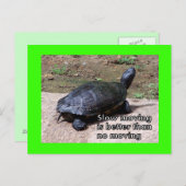 schildpad-traag Briefkaart (Voorkant / Achterkant)