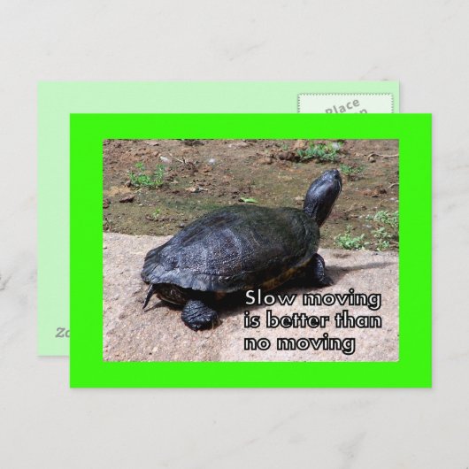 schildpad-traag Briefkaart (Voorkant / Achterkant)