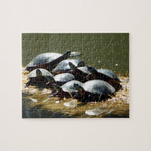 Schildpad Troup Legpuzzel (Horizontaal)