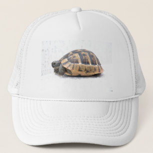 Schildpad Trucker Pet