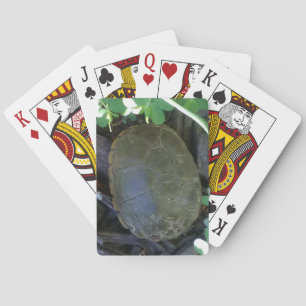 Schildpad tussen het groen pokerkaarten