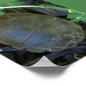 Schildpad tussen het groen poster (Hoek)