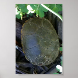 Schildpad tussen het groen poster
