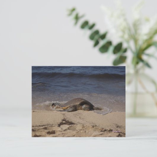 schildpad van Oahu Briefkaart (Staand voorkant)