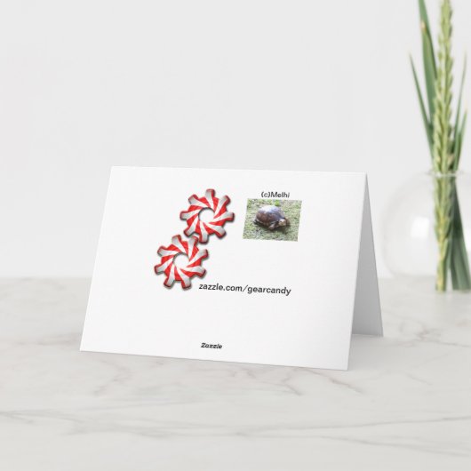 Schildpad - Verlate verjaardag Kaart (Achterkant)