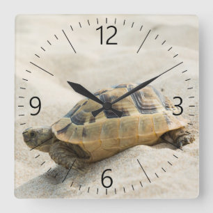 Schildpad Vierkante Klok