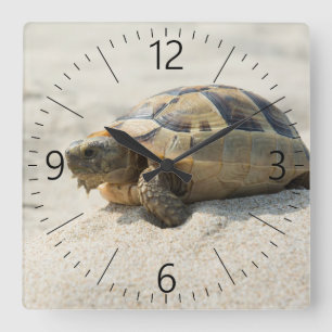 Schildpad Vierkante Klok