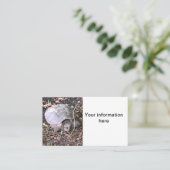 Schildpad Visitekaartje (Staand voorkant)