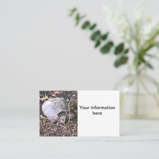 Schildpad Visitekaartje (Staand voorkant)
