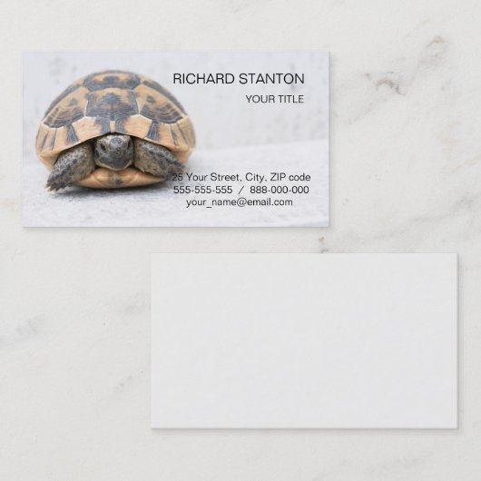 Schildpad Visitekaartje (Voorkant / Achterkant)