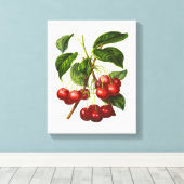  schildpad voor rode kersen canvas afdruk (Insitu (Houten vloer))