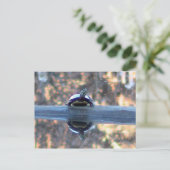 Schildpad weerspiegeld in Pond Briefkaart (Staand voorkant)