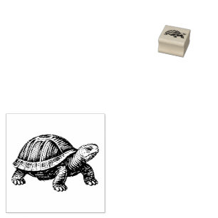 Schildpad Wezens Reptiel Rubberstempel
