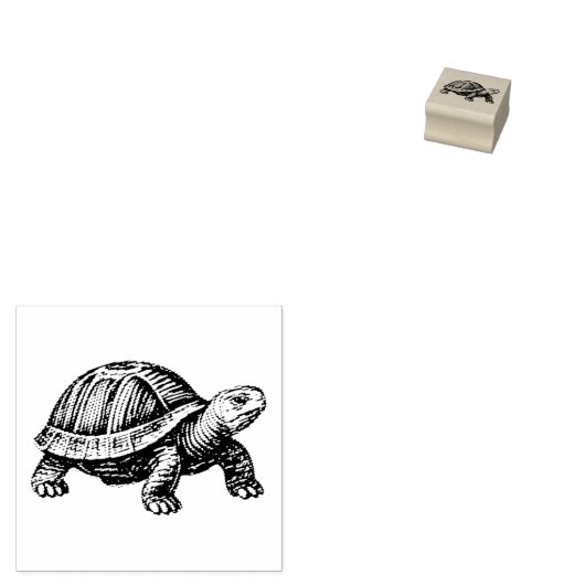 Schildpad Wezens Reptiel Rubberstempel (Gestempeld)