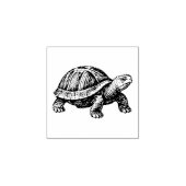 Schildpad Wezens Reptiel Rubberstempel (Afrduk)