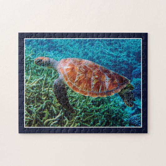 Schildpad Zee Schepsel Oceaan Wilde Dieren Legpuzzel (Horizontaal)
