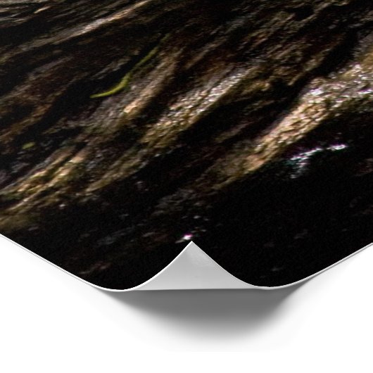 Schildpad Zittend op een Log Poster (Hoek)