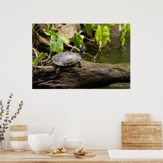 Schildpad Zittend op een Log Poster (Keuken)