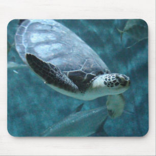 Schildpad zwemmen Muismat