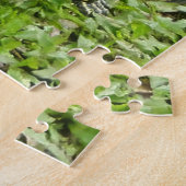 Schildpadden bij het water legpuzzel (Zijkant)