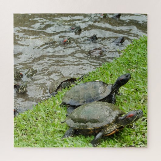 Schildpadden bij het water legpuzzel (Verticaal)