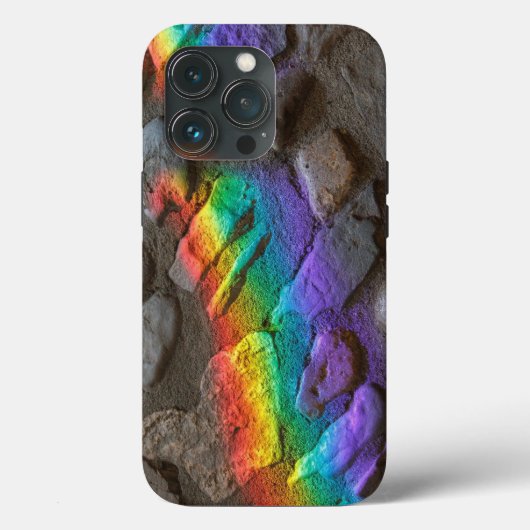 Schildpadden Case-Mate iPhone Case (Achterkant)