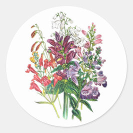 Schildpadden en buiktongen ronde sticker