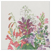 Schildpadden en buiktongen stof (Close Up)