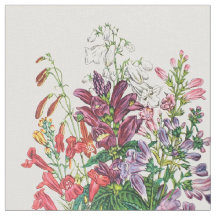 Schildpadden en buiktongen