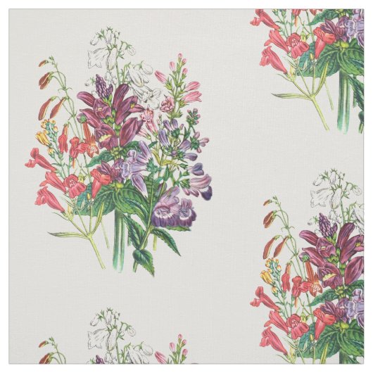 Schildpadden en buiktongen stof (Swatch)