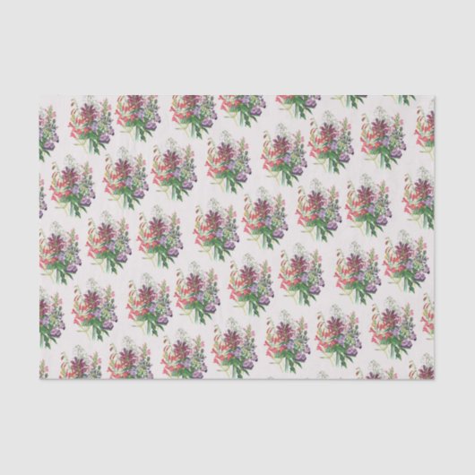 Schildpadden en buiktongen tissuepapier (Voorkant)