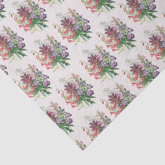 Schildpadden en buiktongen tissuepapier (Detail)