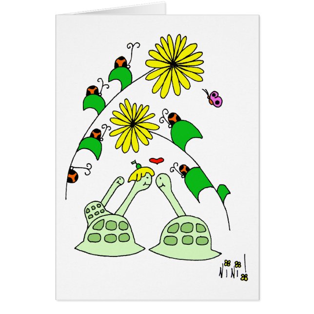 schildpadden en damestukken (Voorkant)