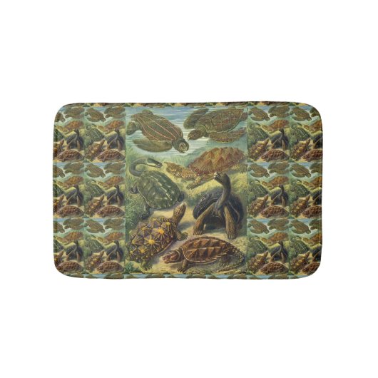 schildpadden en Zeeen schildpadden door Ernst Hae Badmat (Voorkant)