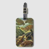 schildpadden en Zeeen schildpadden door Ernst Hae Bagagelabel (Voorkant (verticaal))
