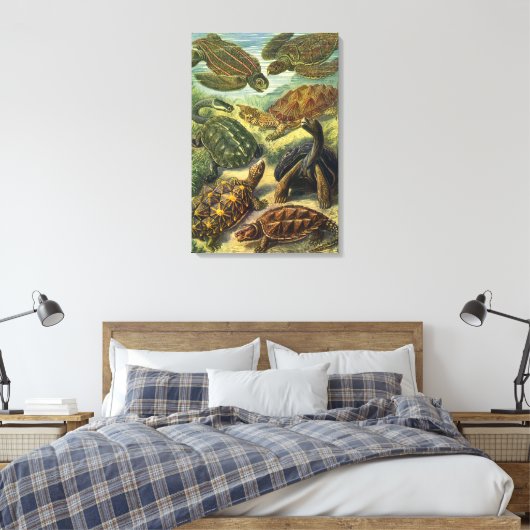 schildpadden en Zeeen schildpadden door Ernst Hae Canvas Afdruk (Insitu (Slaapkamer))