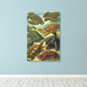  schildpadden en Zeeen schildpadden door Ernst Hae Canvas Afdruk (Insitu (Houten vloer))