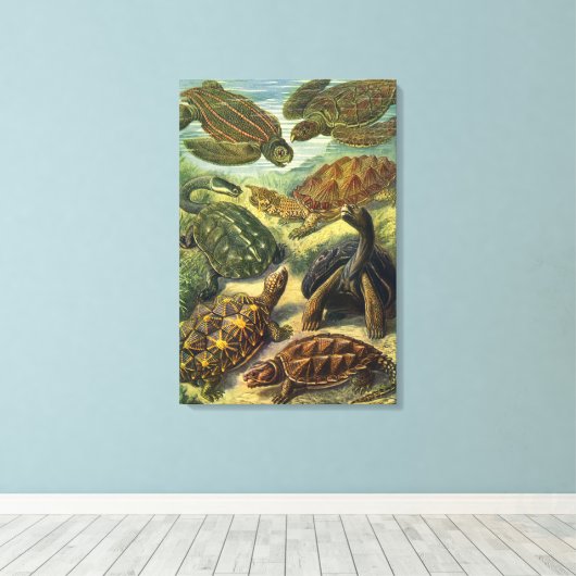 schildpadden en Zeeen schildpadden door Ernst Hae Canvas Afdruk (Insitu (Houten vloer))